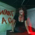 Fright Dome