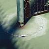 
A crack surrounds a net pole in one of the 23 courts at the city's Darling Memorial Tennis Center.