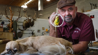 Taxidermist says every customer has a story to tell