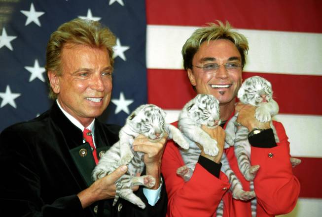 Siegfried & Roy, with holding cubs and sporting smiles.
