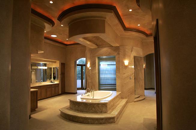 20100125_m_cagehome16_t653.jpg