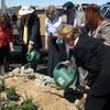 From left, Rep. Shelley Berkley, RTC General Manager Jacob Snow, Rep. Dina Titus, Las Vegas Mayor Oscar Goodman, Henderson City Councilwoman Debra March and County Commissioner Chris Giunchigliani plant seeds to mark the stat of work on the ACE Green Line.