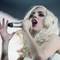 Photo: Pop phenomenon Lady Gaga returns to Las Vegas on A