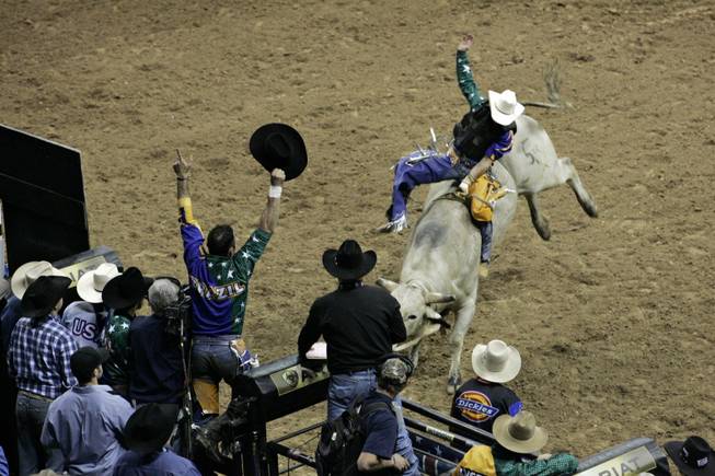 PBR Rodeo