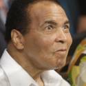 Celebrity boxing spectators