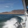 Nevada game warden Lt. Mike Maynard patrols Lake Mead on Thursday.