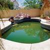 Environmental specialist Robert Cole examines a pool at a foreclosed home in 2010.