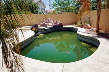 Environmental specialist Robert Cole examines a pool at a foreclosed home in 2010.