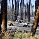Moapa Fire