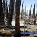 Moapa Fire