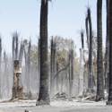 Moapa Fire