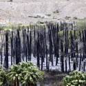 Moapa Fire