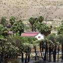 Moapa Fire