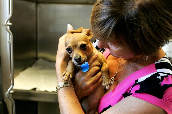 Peggy Tauber hugs her dog Kelly after cleaning her cage at Noah's Animal House before heading out to look for work Tuesday, July 13, 2010. Noah's Animal House provides housing for the pets of women who are staying at Shade Tree Shelter.