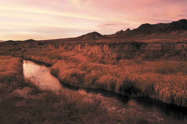 At one time, the Clean Water Coalition had planned a pipeline that would have crossed this stretch of the Las Vegas Wash to expel treated wastewater into the deeper depths of greater Lake Mead. However, the CWC mothballed that project and the Nevada Legislature took $62 million allocated for it. 