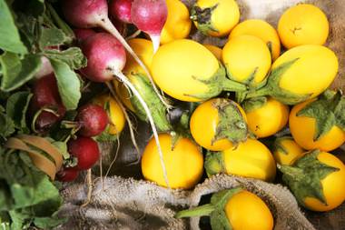 Nevada-grown radish’s and thai yellow egg eggplant for sale during Molto Mario’s Farmer’s Market in Las Vegas Thursday, September 16,&nbsp;2010.