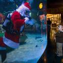 Underwater Santa
