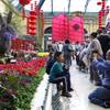 A family takes a photo in front of a giant rabbit, a decoration for Chinese New Year, at the Bellagio Conservatory and Botanical Gardens on Sunday, Jan. 23, 2011. The new year, the Year of the Rabbit, begins Feb. 3.