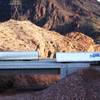 Trucks pass on U.S. 93 near the Mike O'Callaghan-Pat Tillman Memorial Bridge outside Boulder City on Friday, Feb. 25, 2011.