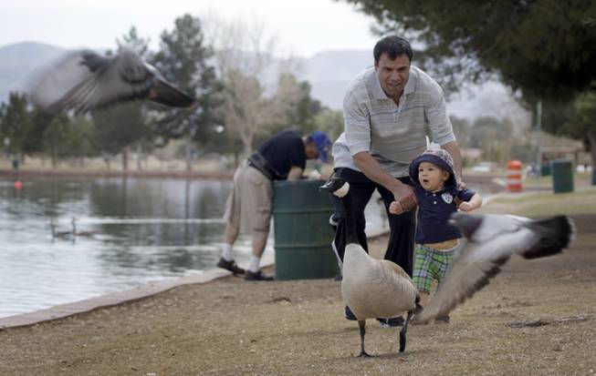 Zahir Abrahime helps his son Ramin, 15 months, chase a goose Tuesday, March 15, 2011, at Sunset Park.