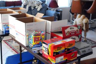 Elaine Berg's living room has been transported into a mini warehouse for her Beanie Baby operation. She has sent about 130 boxes to American soldiers in Afghanistan since June 2010. 