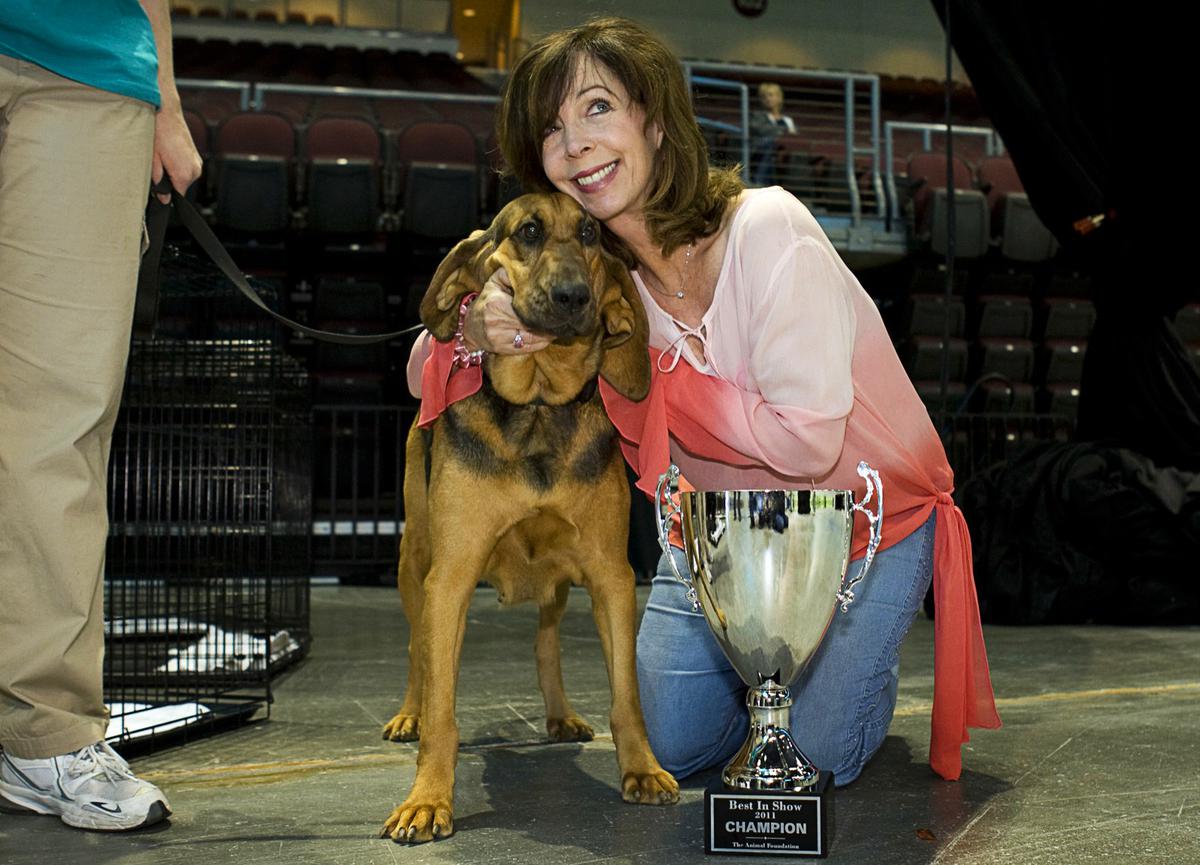 Photos: Holly Madison Sells Tix to PEEPSHOW for Animal Foundation