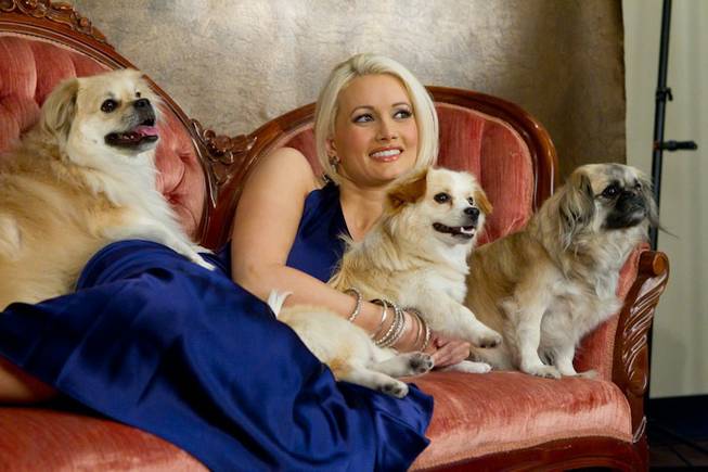 Holly Madison and her dogs Napoleon, Josephine and Louis at Pet'ographique Photography Boutique during a photo shoot for the cover of <em>The Vegas Dog</em> in Henderson on May 16, 2011.