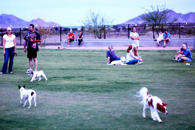 Dogs and their owners enjoy the Bark Park at Heritage Park in Henderson Saturday, June 18, 2011.