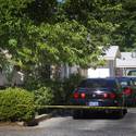 Officer shoots pit bull