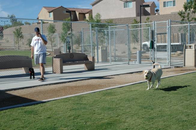 The Esselmont Dog Park in Henderson is the southernmost dog park in the Valley.
