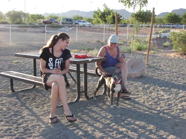 The See Spot Run dog park, the first in Boulder City, opened in April near Veterans Park at the corner of Buchanan Street and Commons Way.
