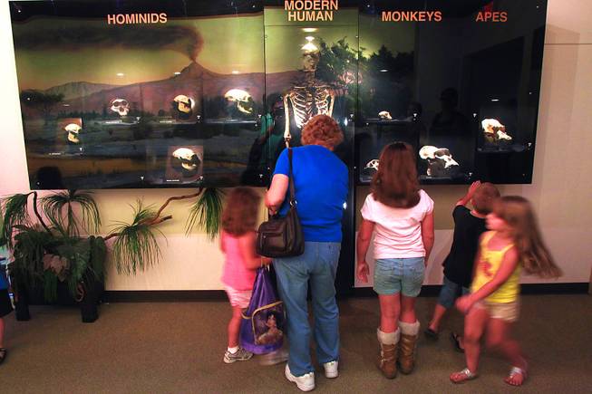 Las Vegas Natural History Museum 20th Anniversary