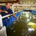 Shrimp Farming in the desert