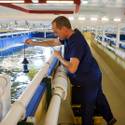 Shrimp Farming in the desert