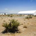 Shrimp Farming in the desert