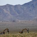 Construction of the Ivanpah Solar Electric Generating System