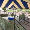 Nevada Wild Fest set-up