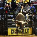 PBR World Finals 2011