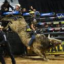 PBR World Finals 2011