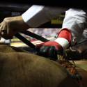 PBR World Finals 2011
