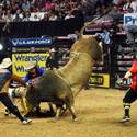 PBR World Finals 2011
