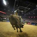 PBR World Finals 2011