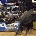 PBR World Finals 2011