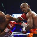Undercard Fights: Nov. 12