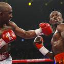 Undercard Fights: Nov. 12