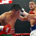 Undercard Fights: Nov. 12