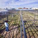 NFR Livestock