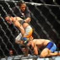 TUF 14 Finale at the Palms