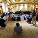 Ultimate Fighter Tryouts