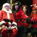 Christmas Tree lighting at the Fremont Street Experience